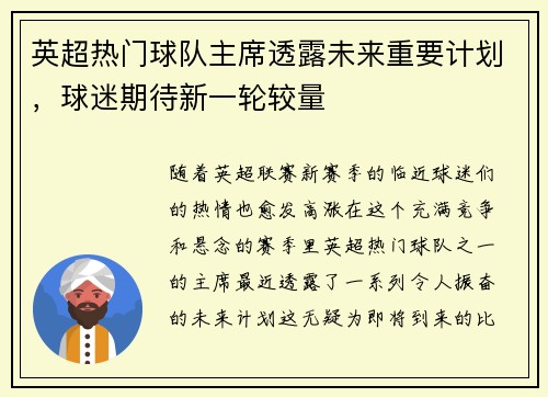 英超热门球队主席透露未来重要计划，球迷期待新一轮较量